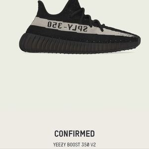 Yeezy Boost 350